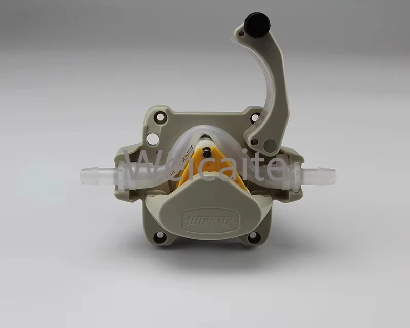 JIHPUMP Bomba peristáltica pequeña 3L 24V con motorreductor de CC Bomba de motor paso a paso para dispensación y llenado de líquidos