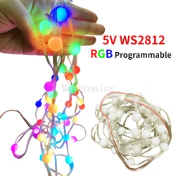 5M 50pcs/lot DC5V WS2812 LED Ball Light String Programmable RGB 15mm Module Waterproof for Outdoor Billboard Payground Decor