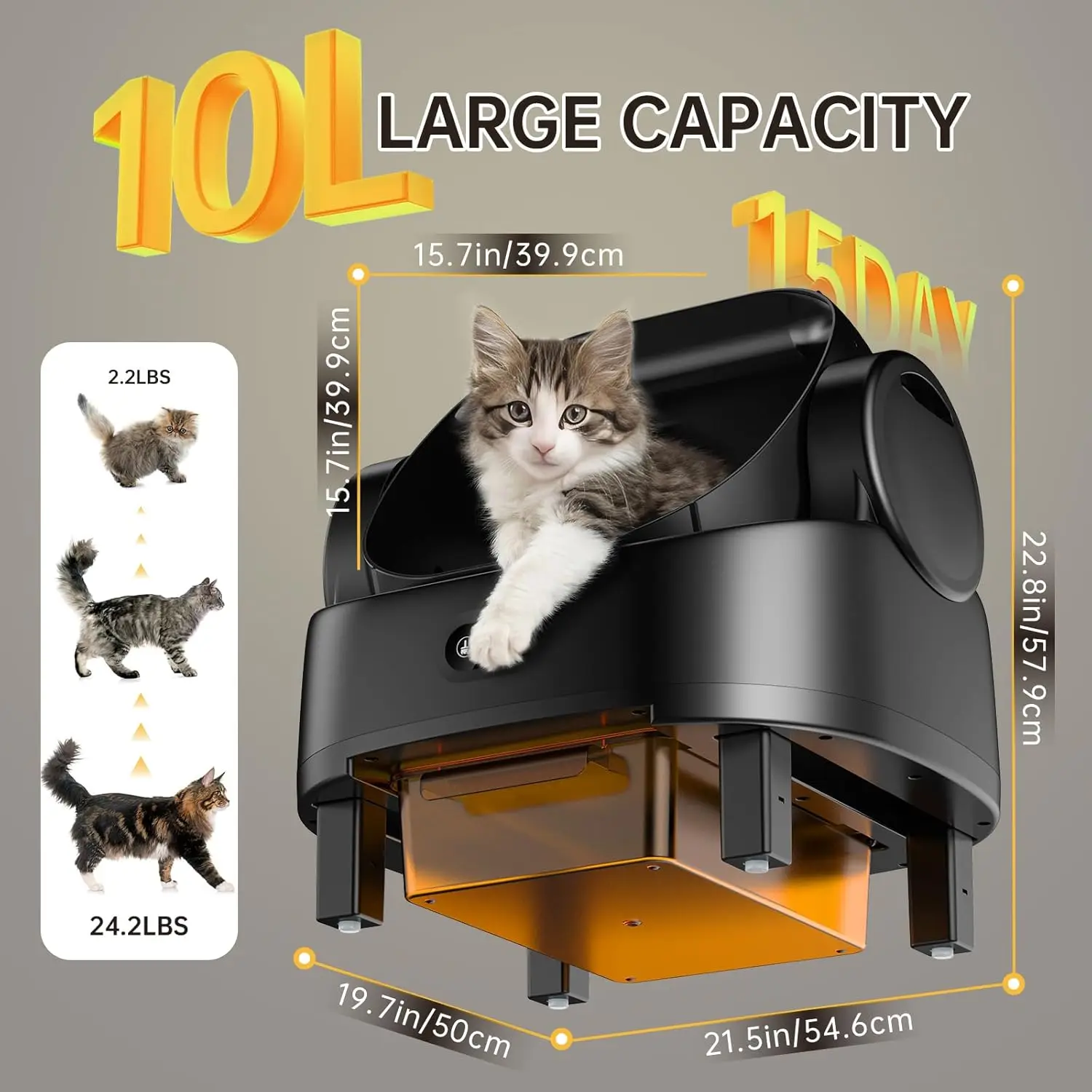Automatic Litter Box 4
