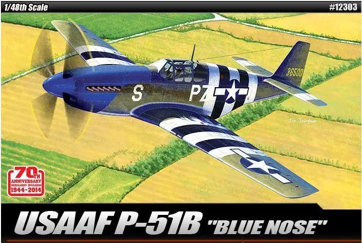 Academy 1/48 ACCURATE MINIATURES USAAF P-51B Blue Nose Plastic Model Kit 12303