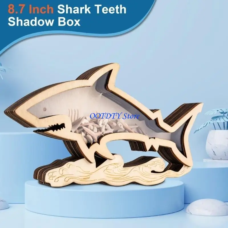 367A Starfishs Seashells Display Box with Clear Acrylic Front Seashells Holders for Shark Teeth Small Shadows Box
