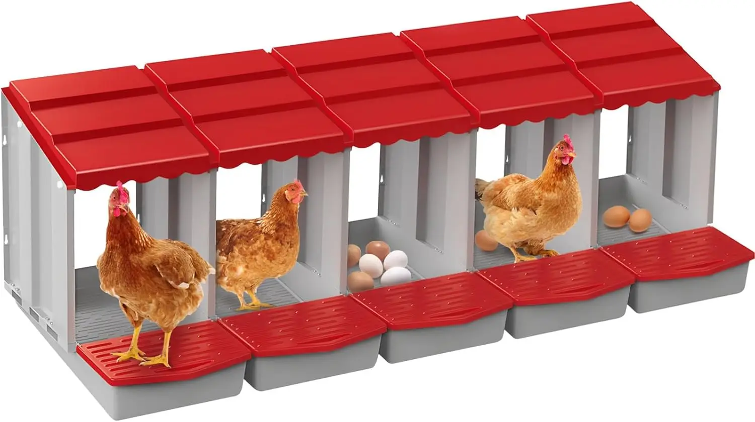 In Chicken Coop, 5 Hole Rolling Egg Collection Nesting Boxes, Ensuring Egg Protection