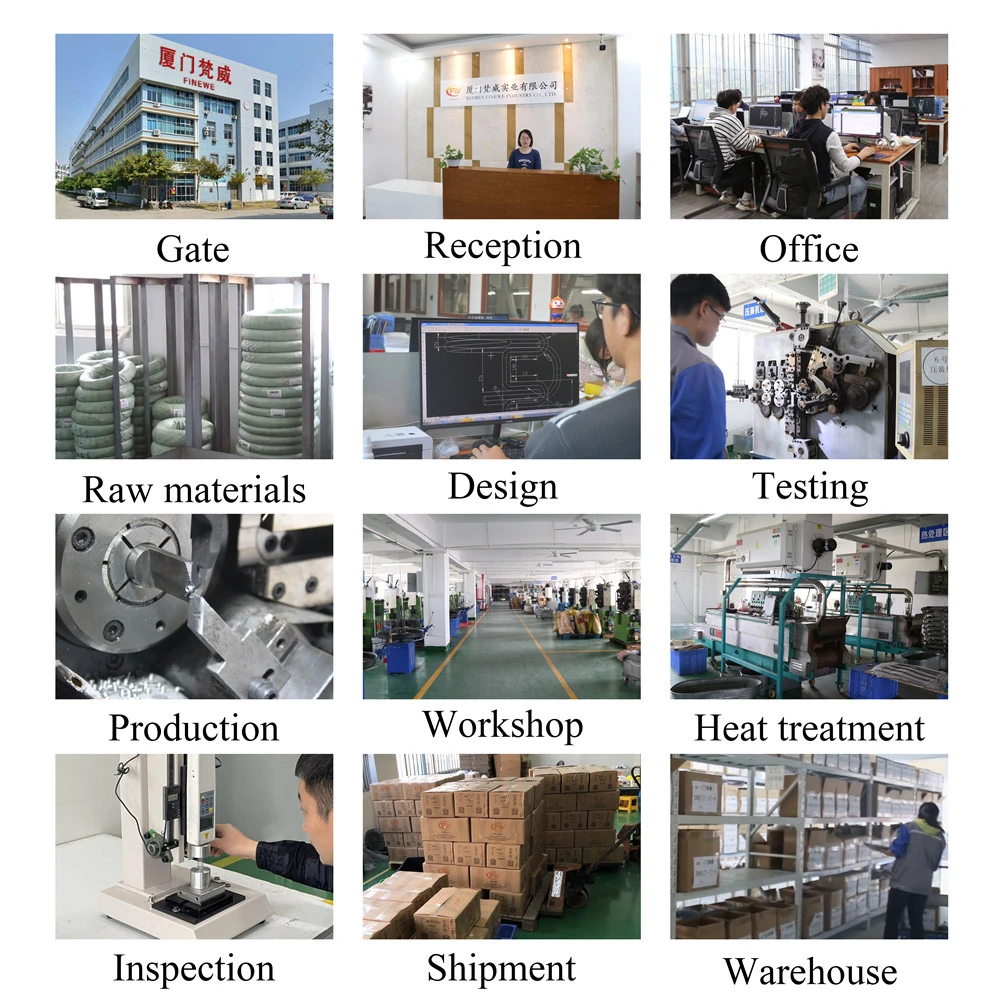 Mola Feita sob Encomenda Finewe