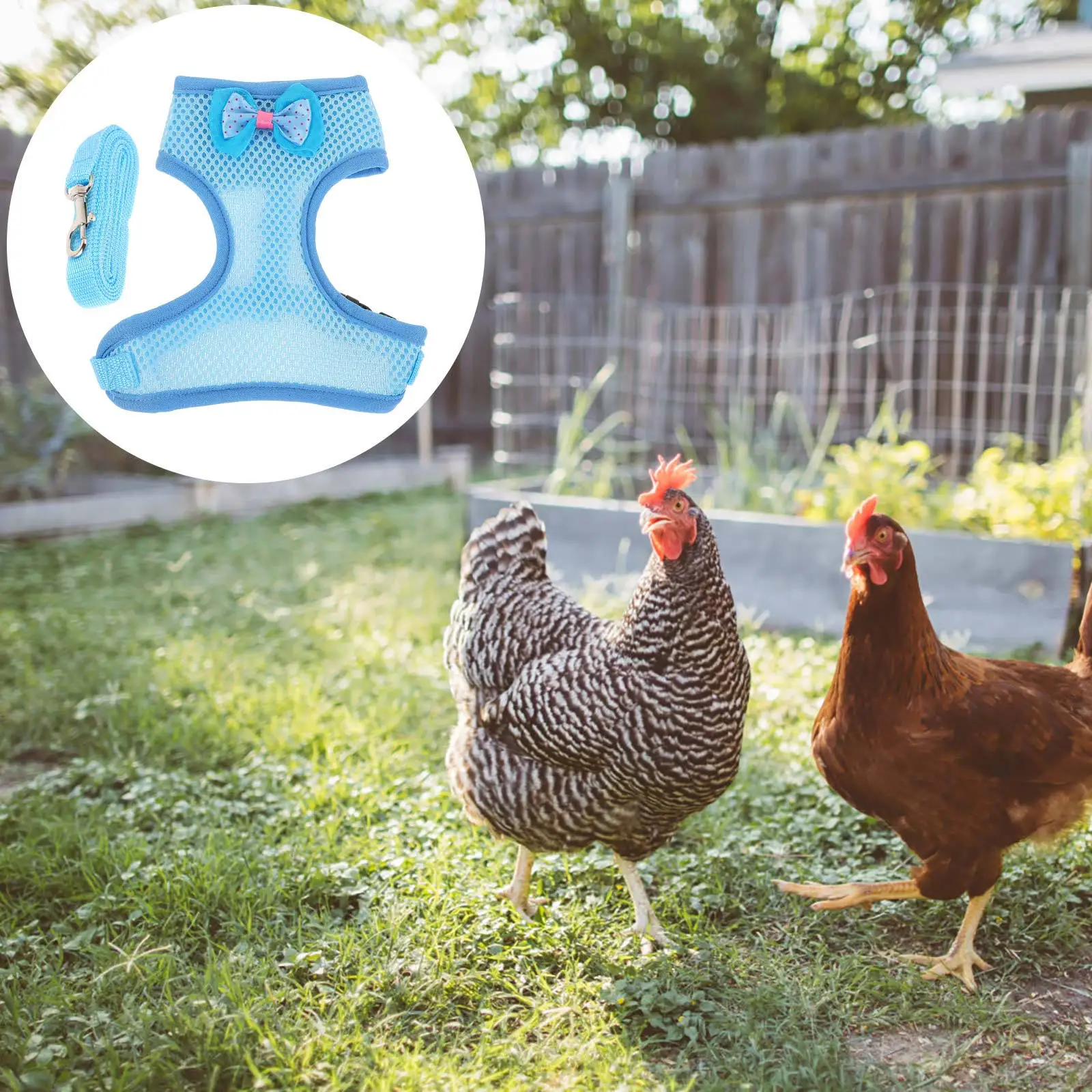 

1Set Reliable Pet Rooster Harness Chicken Leash Pulling Rope Outdoor Activity Hen Traction Strap Durable Rooster Harness