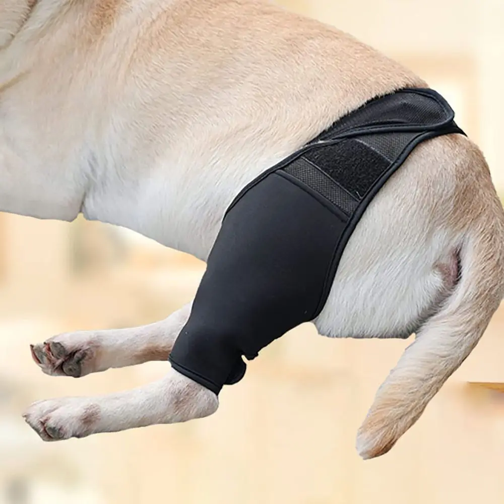 Pet Leg Injury Fixed Protective Cover Dog Knee Pad Disabled Dog Leg Auxiliary Belt