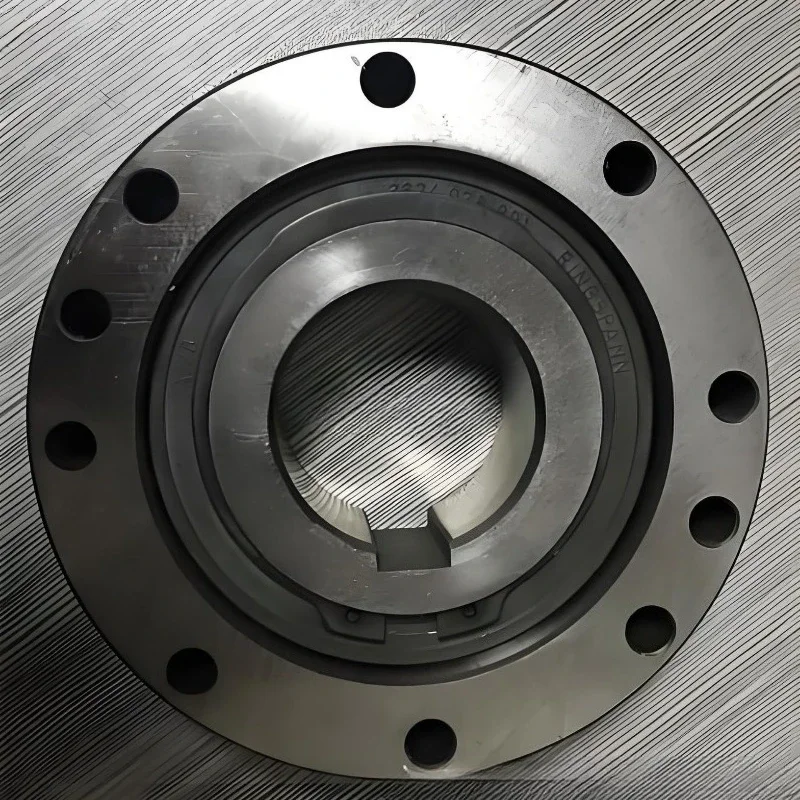 Clutch FXM200-63SX Backstop FXM240-63SX