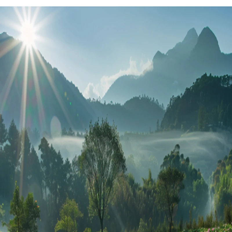 

JX Servo PDI-2504MG 25g Mini Metal Gear Digital Servo for 1/10 1/8 RC Electric Remote Control Model Car Crawler