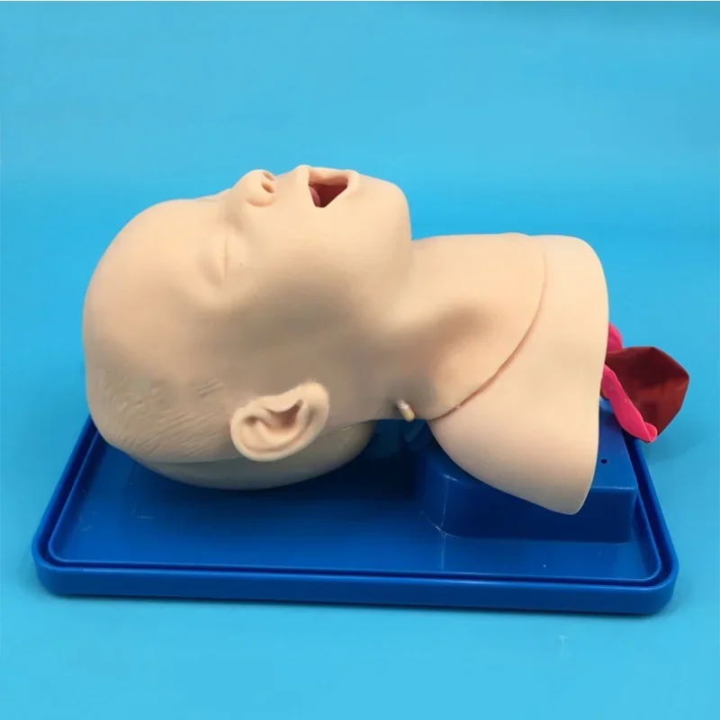 User-friendly Lightweight Neonatal Baby Trachea Intubation Training Model, Oral Intubation Teaching Manikin Trainer