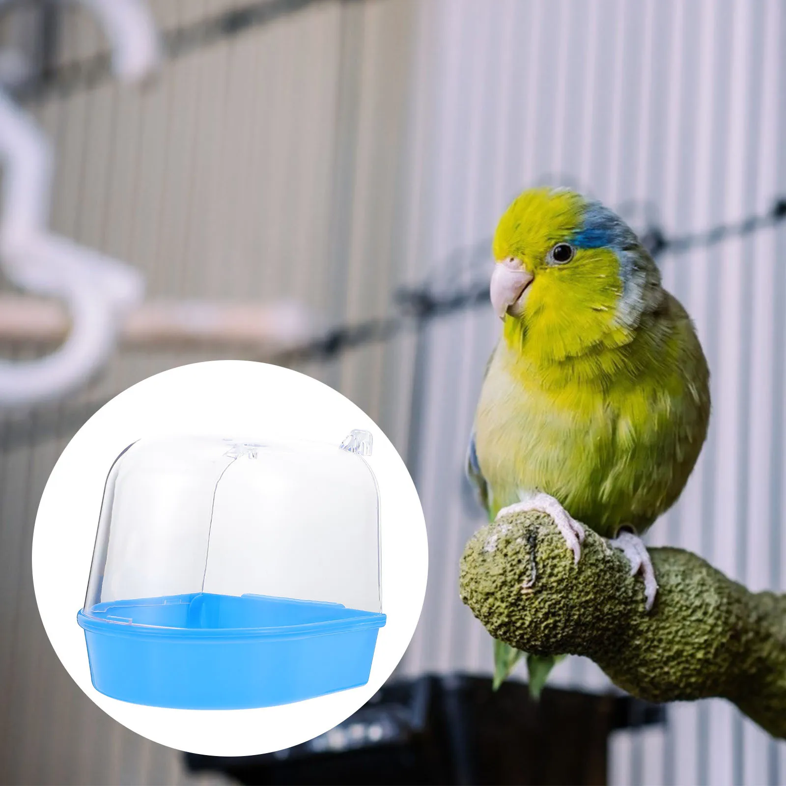 

Bird Bath for Cage Parakeet Small outside Parrot Bathtub Parrots Parakeets Canary