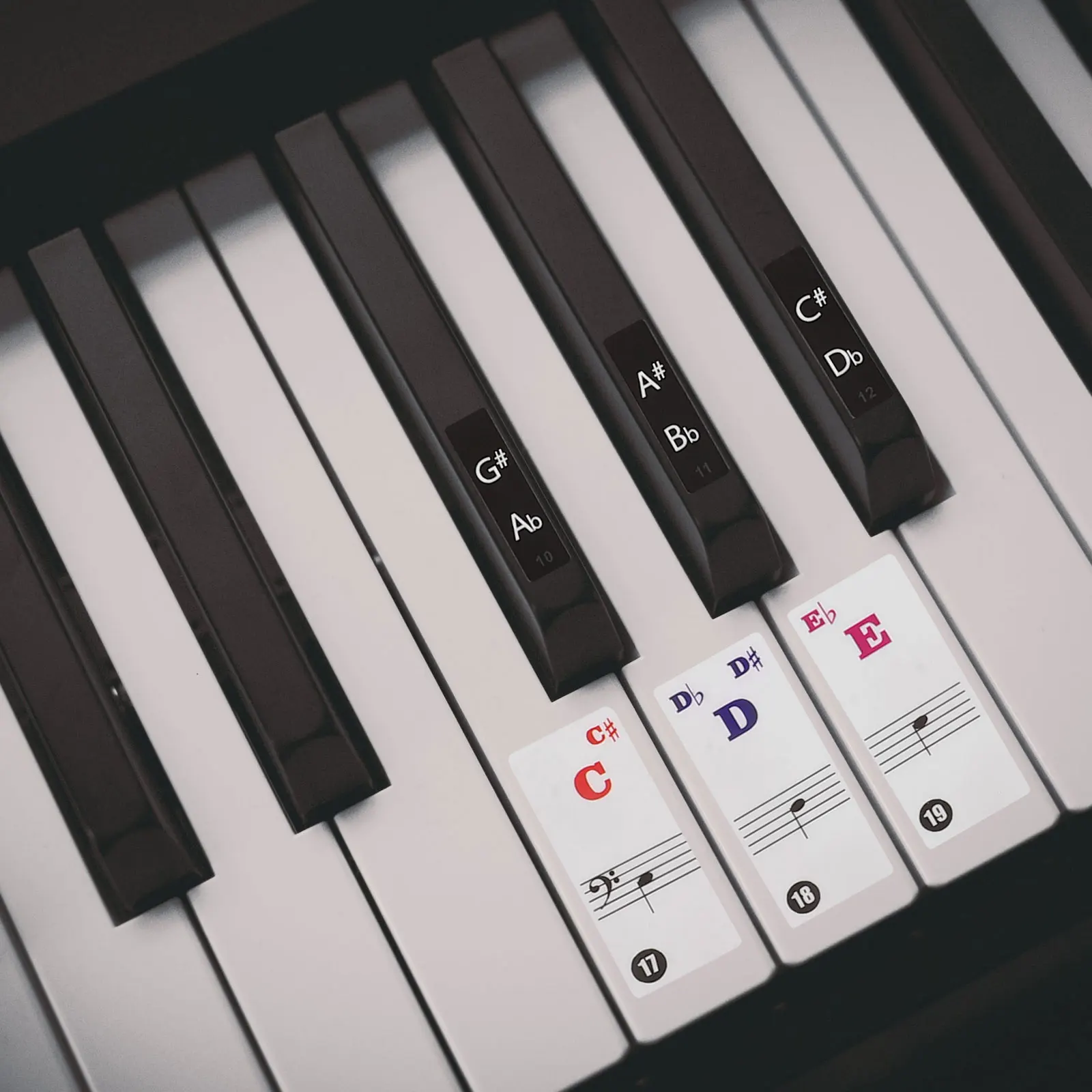 

Piano Stickers for Keys Professional Design Smooth Lines Electronic Keyboard Decal