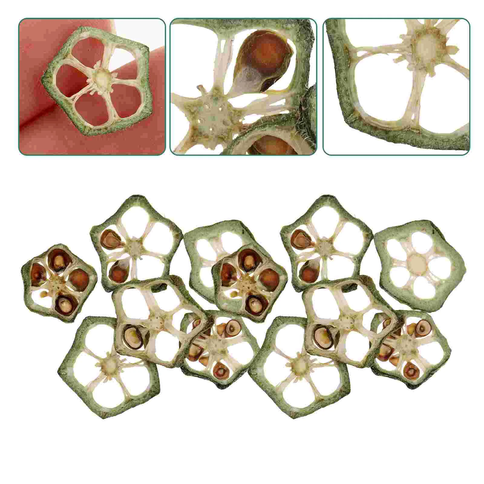 12 Pcs Okra Specimen Material Beads Dried for Phone Case Pressed Resin Plant Office Crafts