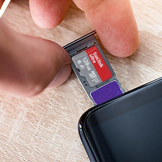 2 SanDisk 1TB Micro 2024 SD Cards