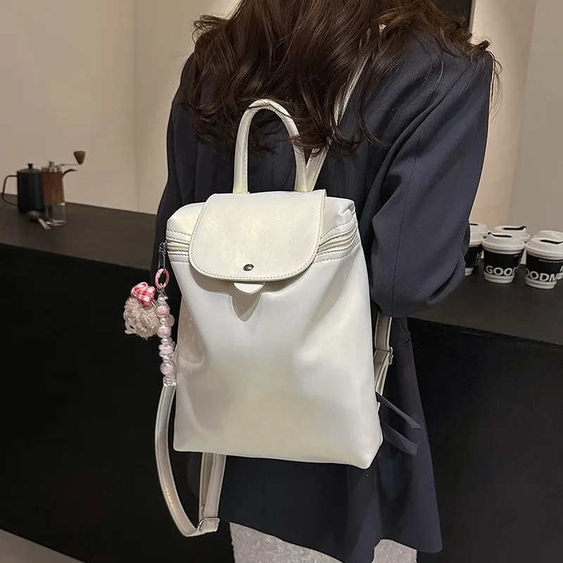 

Delicate Women's Handbag and Messenger Bag - Fashion, Multifunctional, Advanced Feeling, Light Luxury, Daily Commuting