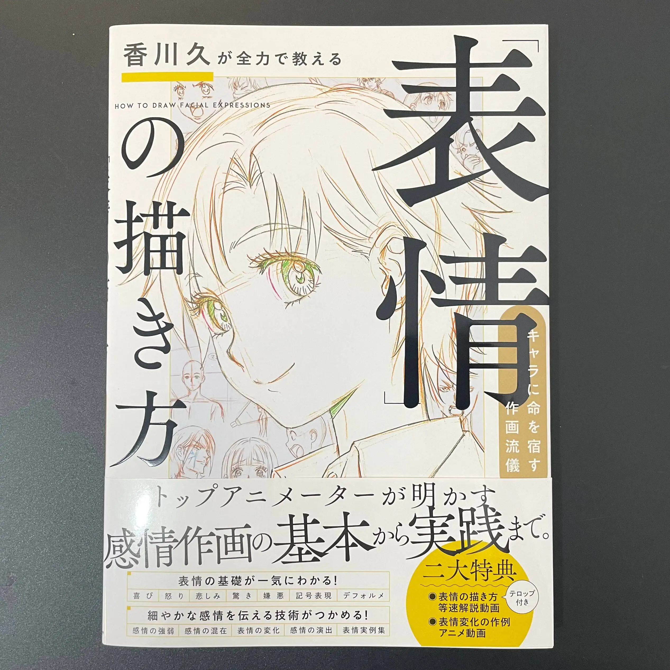 

Японское издание: Хисаши Кагава. Как нарисовать выражения лица: Руководство по техникам аниме-арта.