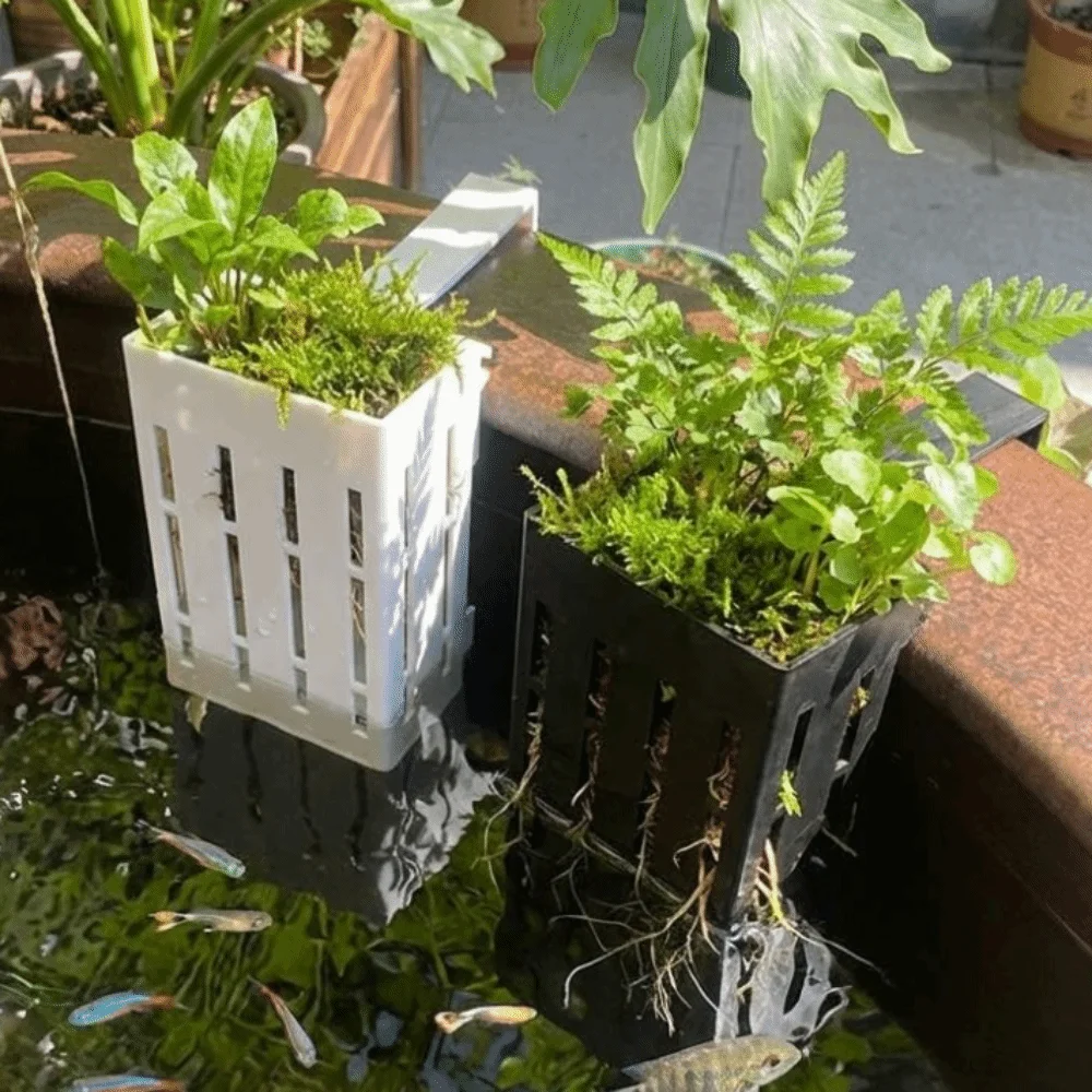Wall-Mounted Aquarium Plant Ba - Aquarium Planted Wall review and price