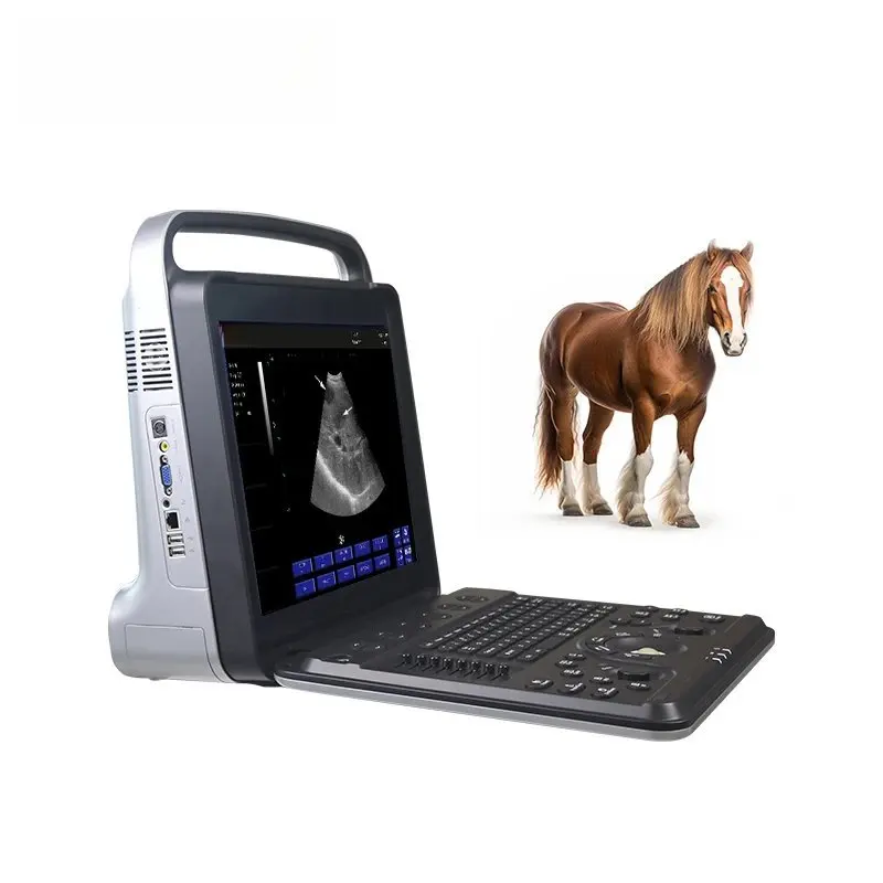 2026 Periodmed hot sale portable ultrasound veterinary  cheap  for veterinarian