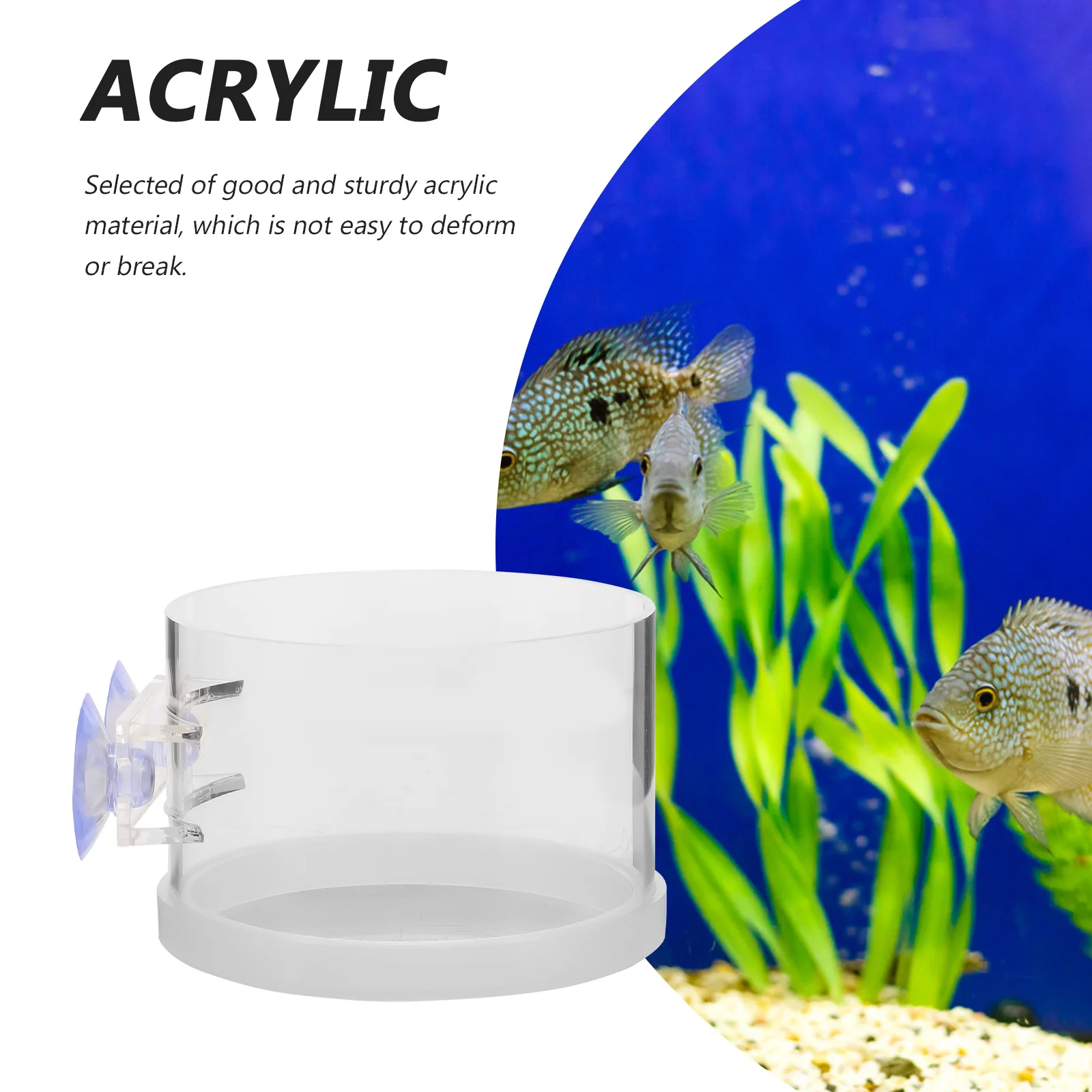 

Reusable Acrylic Fish Feeder Ring with Fixed Suction Cup for Aquariums Convenient Feeding Tool for Small Fish Tanks Floating