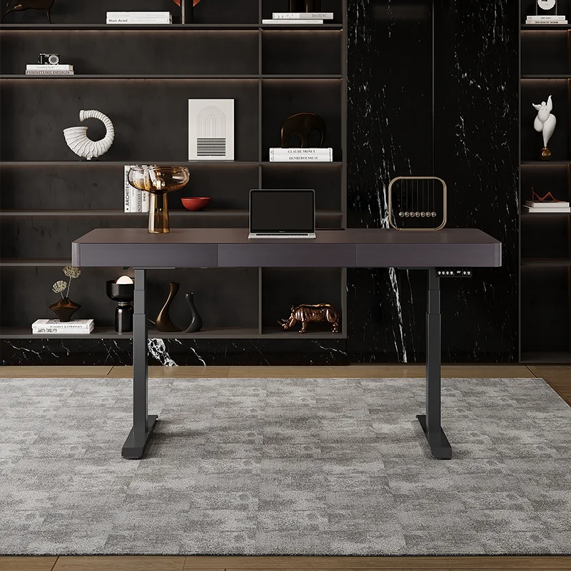 

LH minimalist intelligent electric lift study desk modern minimalist dual motor desk