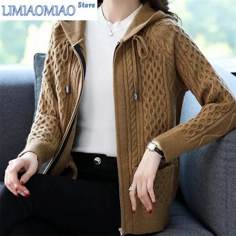 

New Zipper Hoody Sweater Women's Spring Wear Knitted Cardigan Women's Short Sweater Coat Loose Large Female's Knitwear Coat