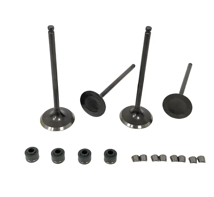 Motorcycle Engine EXHAUST VALVE INTAKE VALVE Kit Oil Seal Locking Plate FIT For Benelli BJ250-15A BJ250 TNT250 TNT25 TNT 25 250