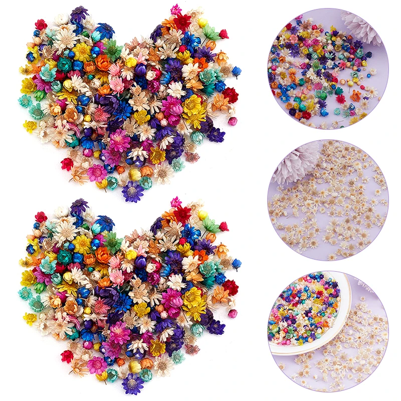 

100/200pcs Real Dried Flowers Dry Daisy Plants Flowers Head For Art DIY Craft Epoxy Resin Necklace Jewelry Making Home Decor