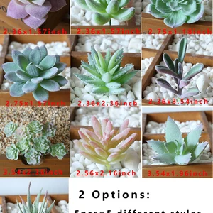 12 Main Sales Cactus - №9