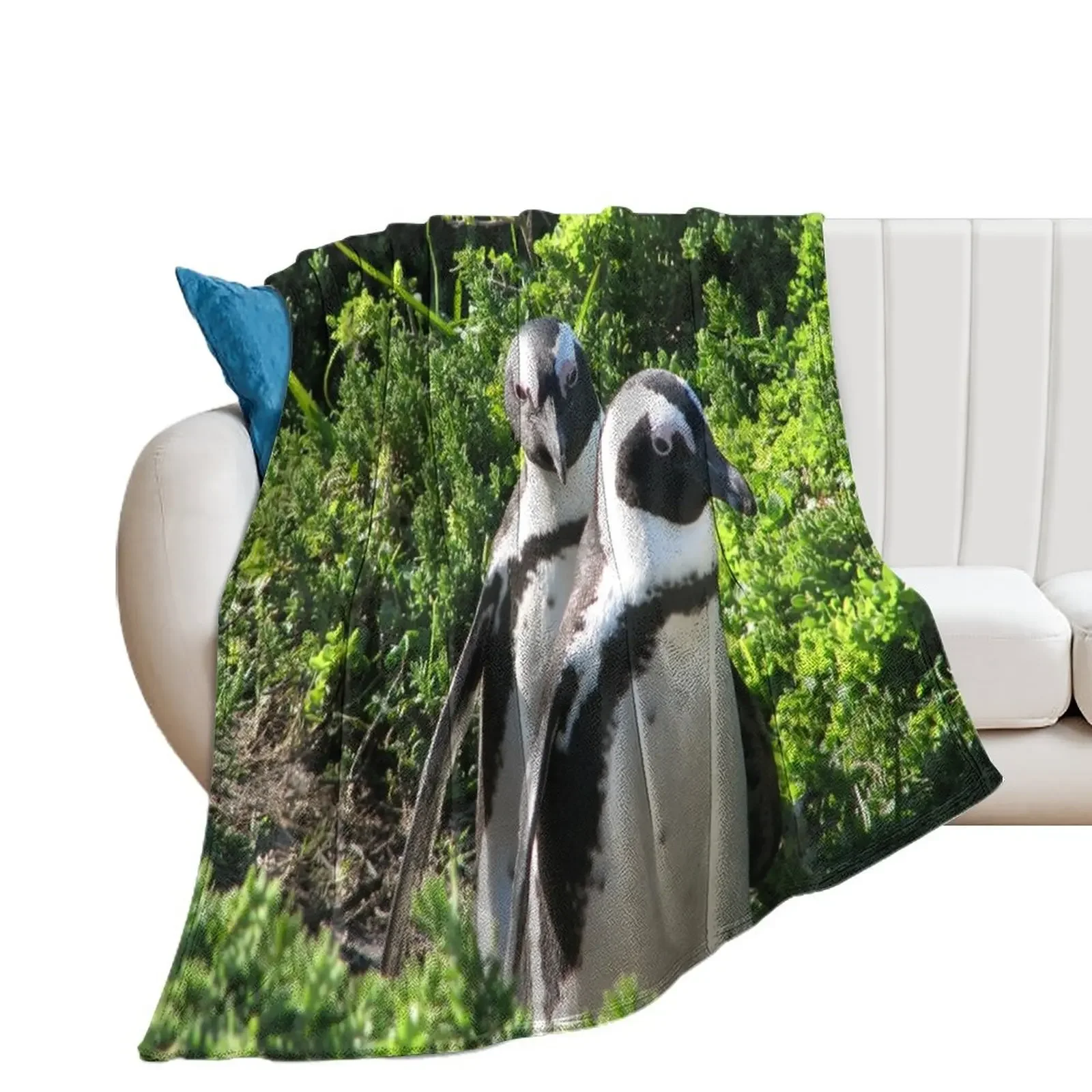 Two African Penguins Strolling Boulders Beach, Cape Town, South Africa Throw Blanket Beautifuls Flannel Blankets