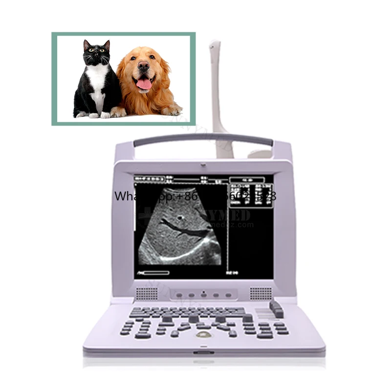 

SY-A005 Veterinary use 12 inch snake dog vet portable ultrasound machine medical laptop ultrasound scanner manufacture