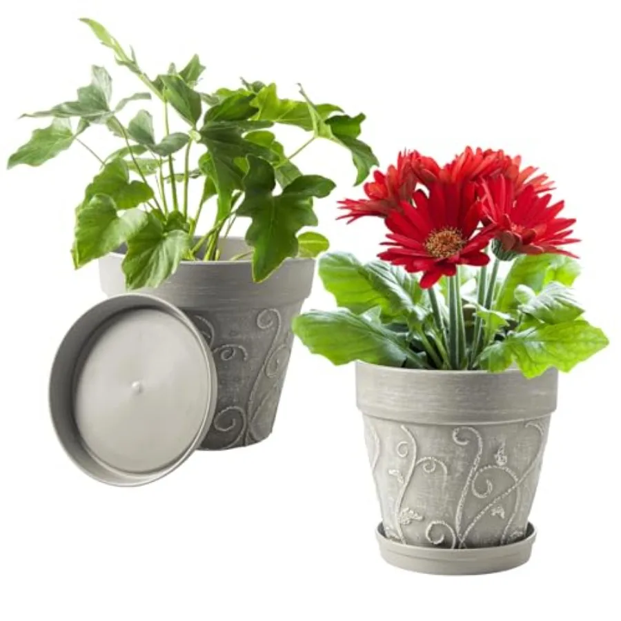 

Plant Pots Indoor with Drainage Saucer 2Pack 8 inch Flower Pots Outdoor Planters for Indoor Plants Garden Home Dr Cactus Succul