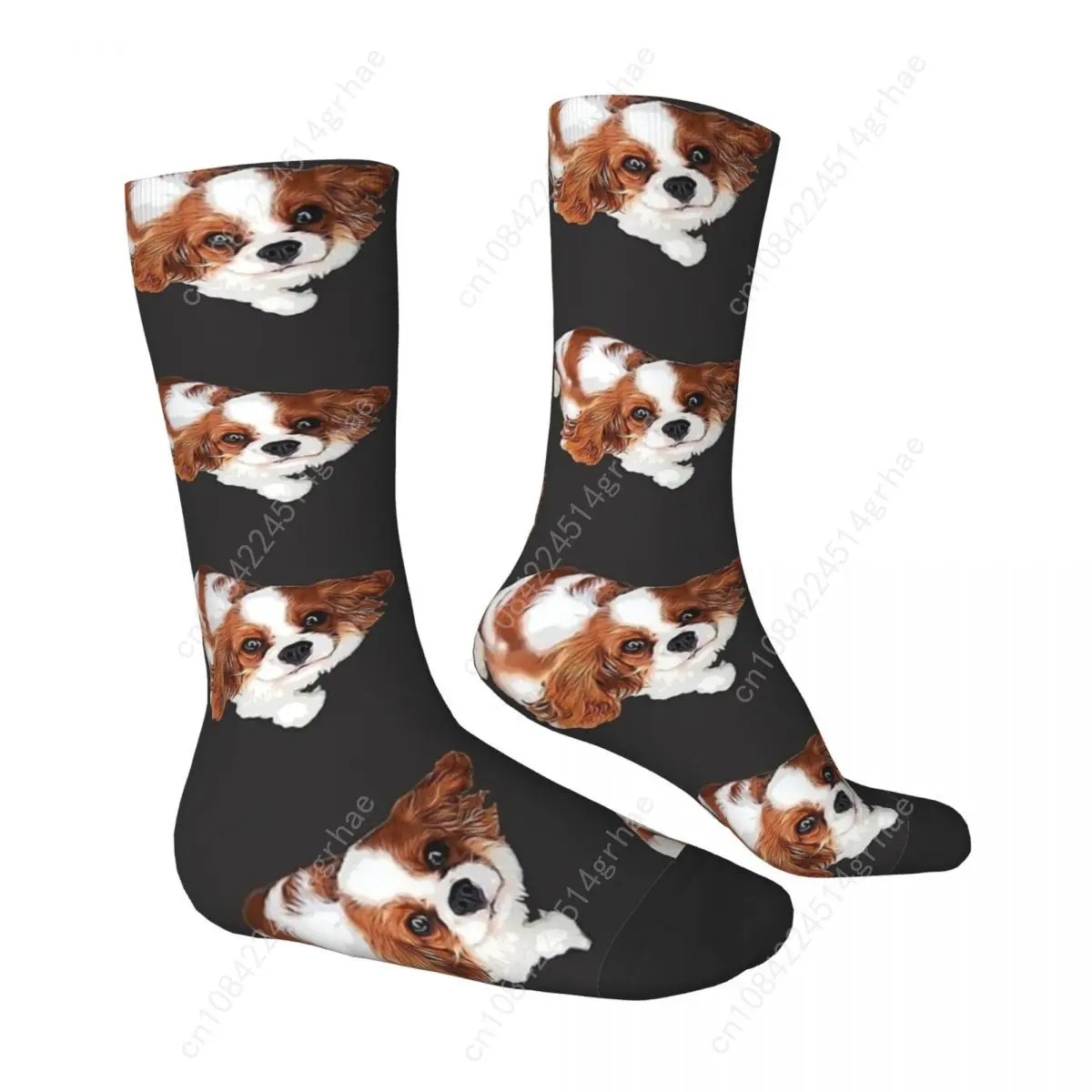 Cavalier King Charles Spaniel Opzoeken Sokken Leuke Hond Mode Kousen Herfst Anti Zweet Unisex Mannen Sokken Medium Zachte Sokken