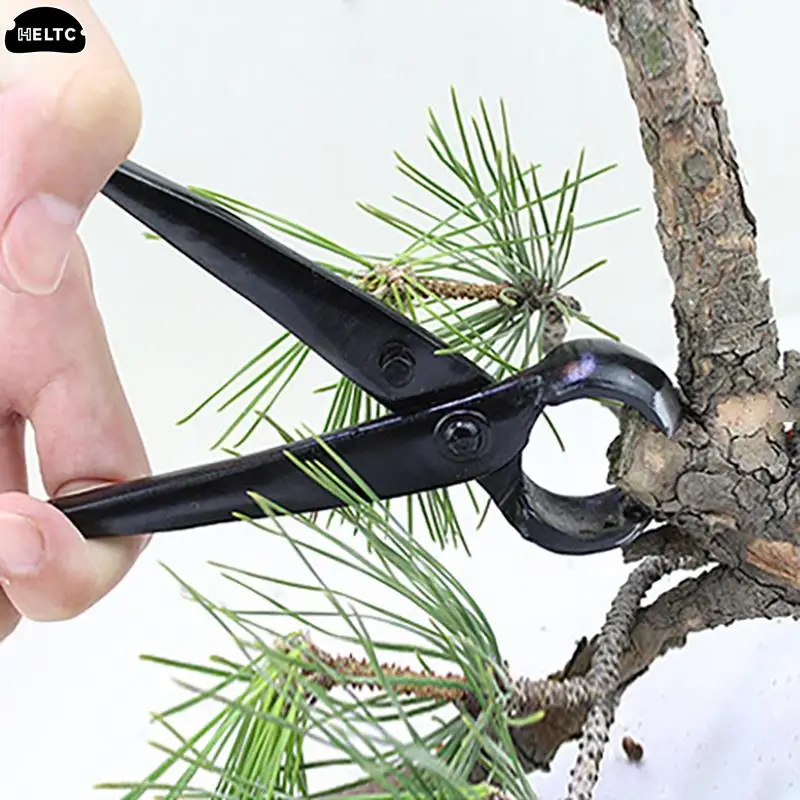 1PCS Landscape Modeling Garden Bonsai Tools 210mm Bonsai Knob Cutter Concave Edge Cutter Root Cutting Pliers Ball Shear Scissors