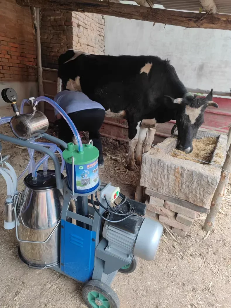 YYHC-  Piston Milking Machine 25 L Vacuum Pump High Configuration Single Barrel Configuration Cattle and Sheep Milking Machi