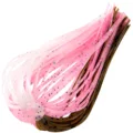 Color G