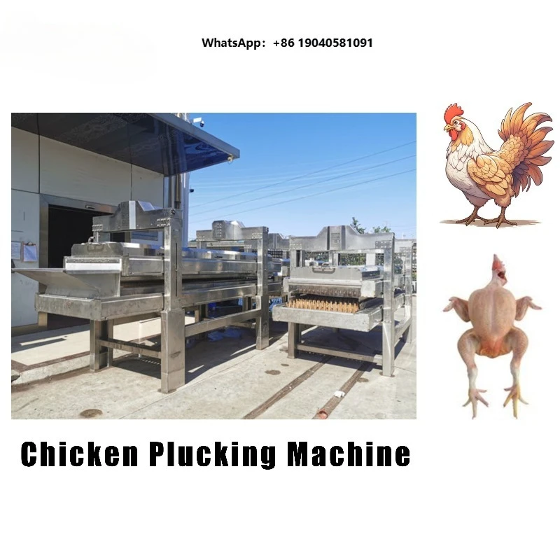 Heavy Duty SUS304 Automatic Poultry Plucker Machine 3000BPH Continuous Inline Poultry Defeathering System for Abattoir