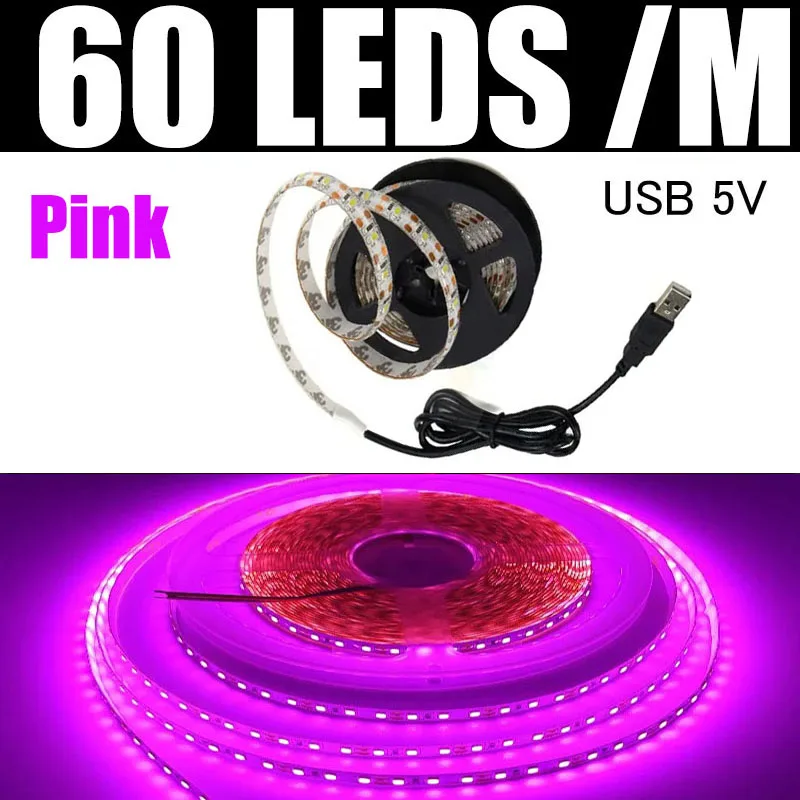 Rose 60 LED par mètre