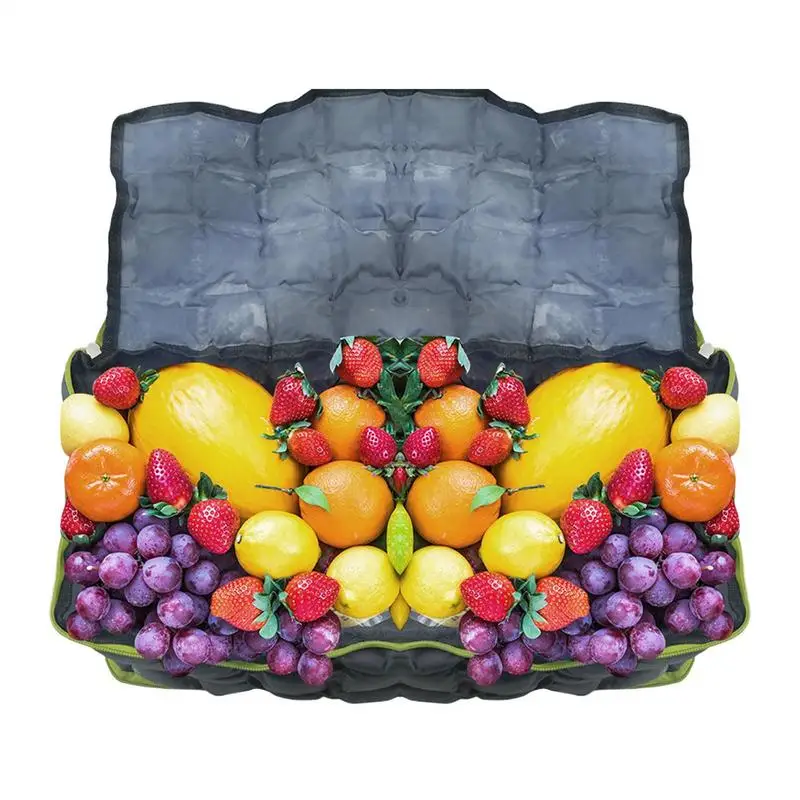 

Сумка-холодильник, изолированная уличная портативная сумка для морозильной камеры, портативный пакет со льдом с ремешком, большой вместительный рюкзак для морозильной камеры для женщин