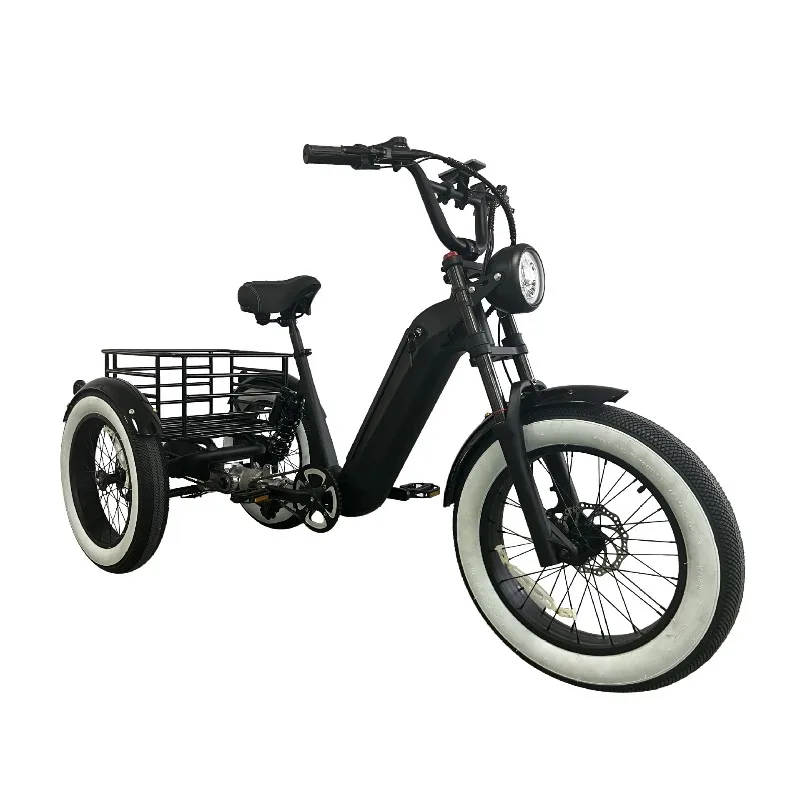 Electric swing wide tire car front and rear hydraulic disc brake tumbler tricycle