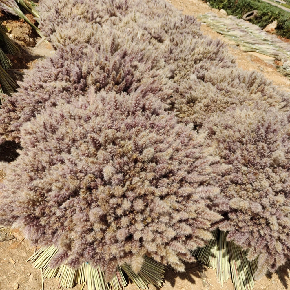 Mini Simulation Pampas Grass Set Personalized False Flower Decor For Living Room Bedroom