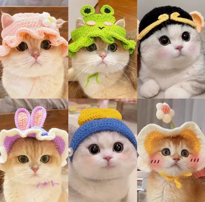 20 Kinds of Pet Headgear, Cats and Dogs, Knitted Wool Drag Hats, Funny and Cute Headgear.