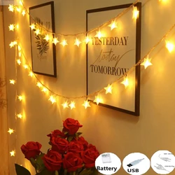 Battery/USB/220v Star Led String Fairy Lights 3m 5m 10m Outdoor Light Garland Christmas Holiday Room Wedding Party Decoration