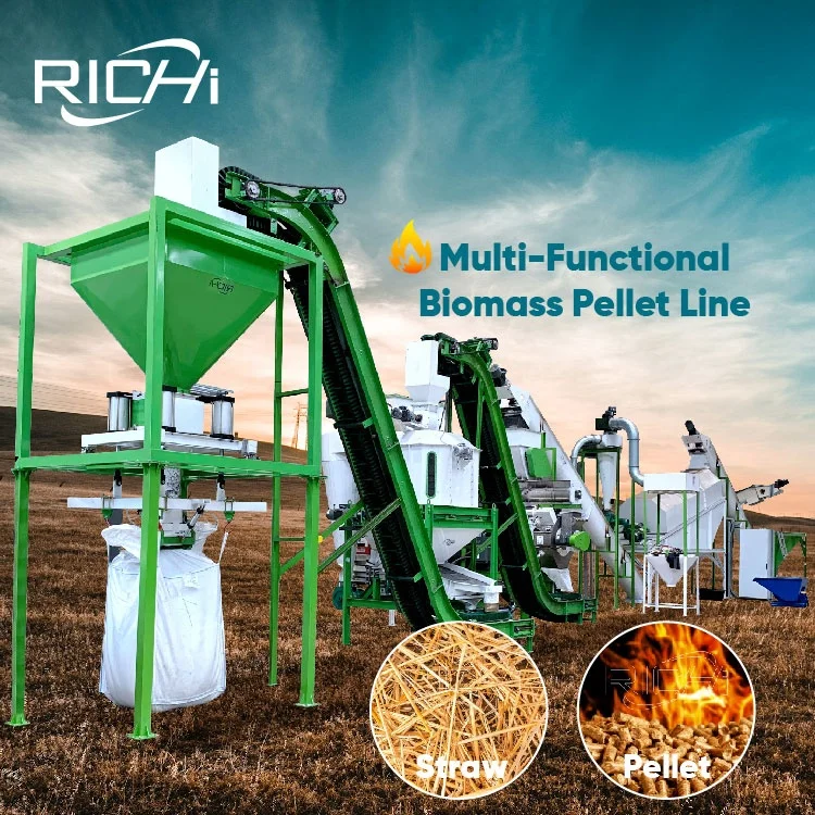 ATV&UTVRICHI Wood Pellets Biomass Plants - Free Installation Rice Straw 2tph 10 Tph Biomass Pellet Machine Manufacturing Plant