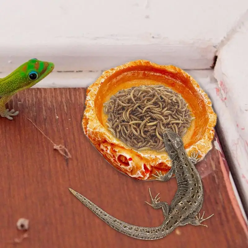Reptilien Wasserschale 2 Stück Harz Reptilien Lebensmittel Wasserschalen Reptilien Wasserschalen Tank Aquarium Zubehör Reptilien Futternapf für