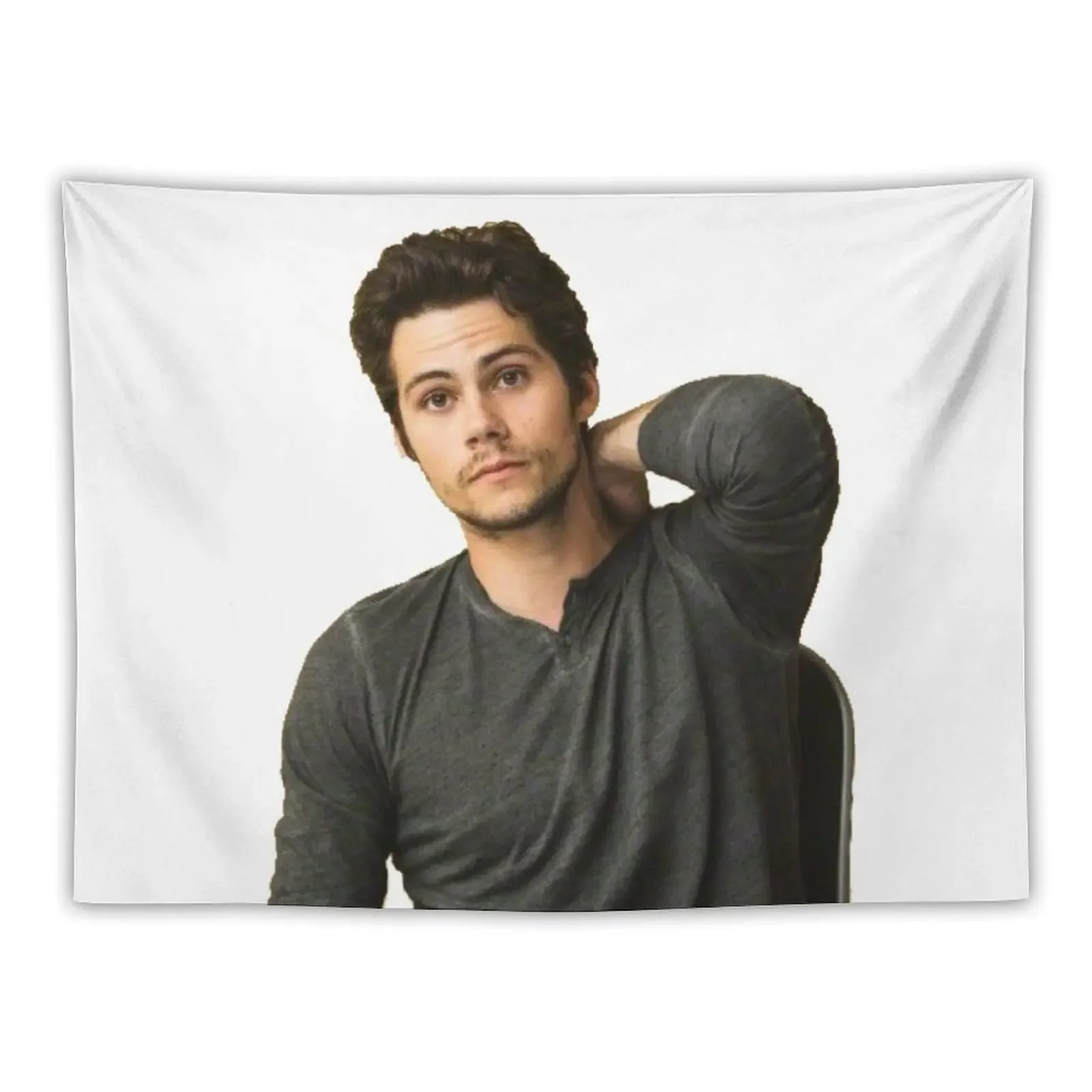 

Dylan O'Brien Tapestry Cute Decor Bedroom Decorations Tapestry