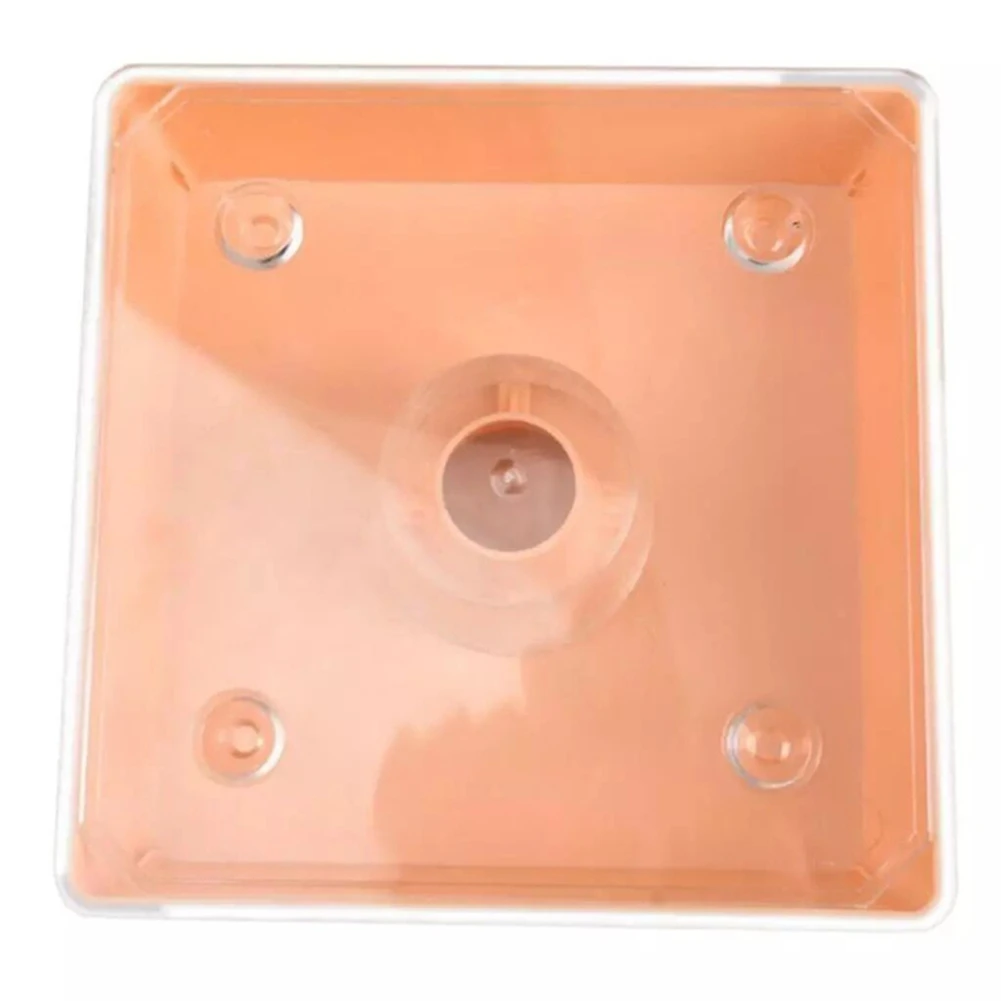 [NEWA64Z!】 Bee Feeder Square 2 Litres Beehive Top Feeder Beekeeper Tool Beekeeping Feeder With Transparent Cover Pre-Assembled