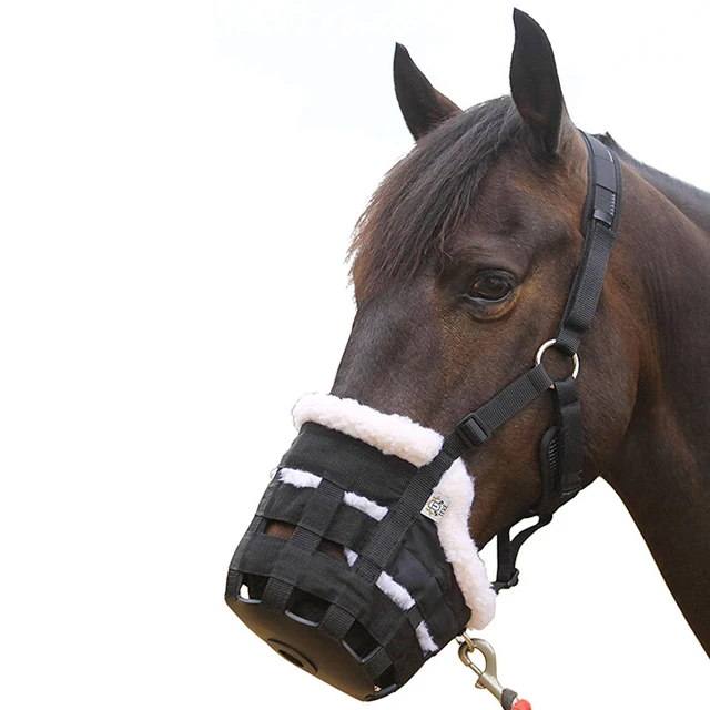 Zimowy, gruby, pluszowy kaganiec dla konia, zapobiegający gryzieniu, sprzęt do treningu i ochrony podczas pasowania.