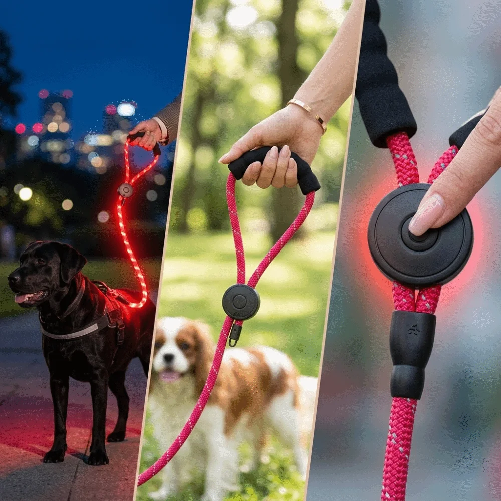 USB Charging LED Dog Leash Spiral Braided Nylon Sturdy Wear Resistant Pet Traction Rope Multiple Light Modes Movable O Ring