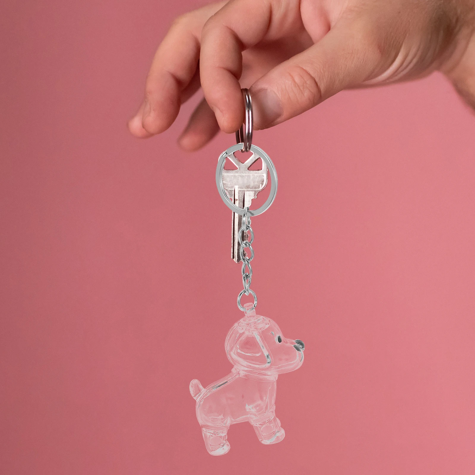

4pcs Dog Keepsake Keychain Transparent Capsule Box Storage Organizer For Owners Hair Memorial Container Pet Memorial Bottle Pet