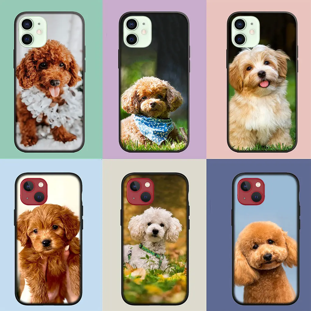 Lovely Poodle Dog Pet Soft Casing for iPhone 14 13 12 Mini 11 Pro X XR XS Max 6 7 8 Plus 6s + SE 2020 Phone Cover Case