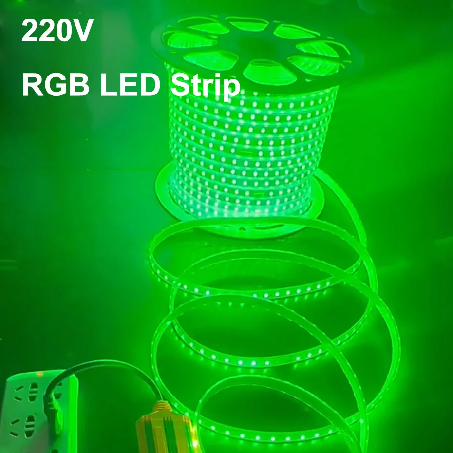 220V RGB LED Strip Light 5050 IP65 Waterproof Flexible Tape 4Pin 1500W IR Remote Control Dimmable for Outdoor Lighting 1-100m