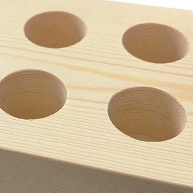 BAAG-Insect Needle Storage Container For Entomology Pins, Butterfly Collecting Pins, School Lab Use 10X14x3cm